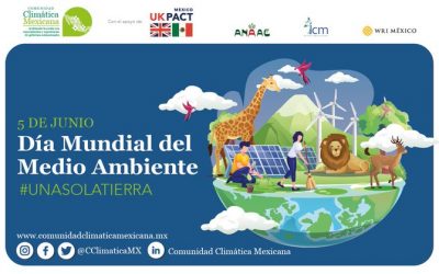 Una sola Tierra: por un planeta sostenible | Día Mundial del Medio Ambiente