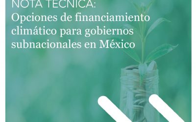 ¿Cómo financiar la acción climática a nivel subnacional? Identificando algunas alternativas y buenas prácticas